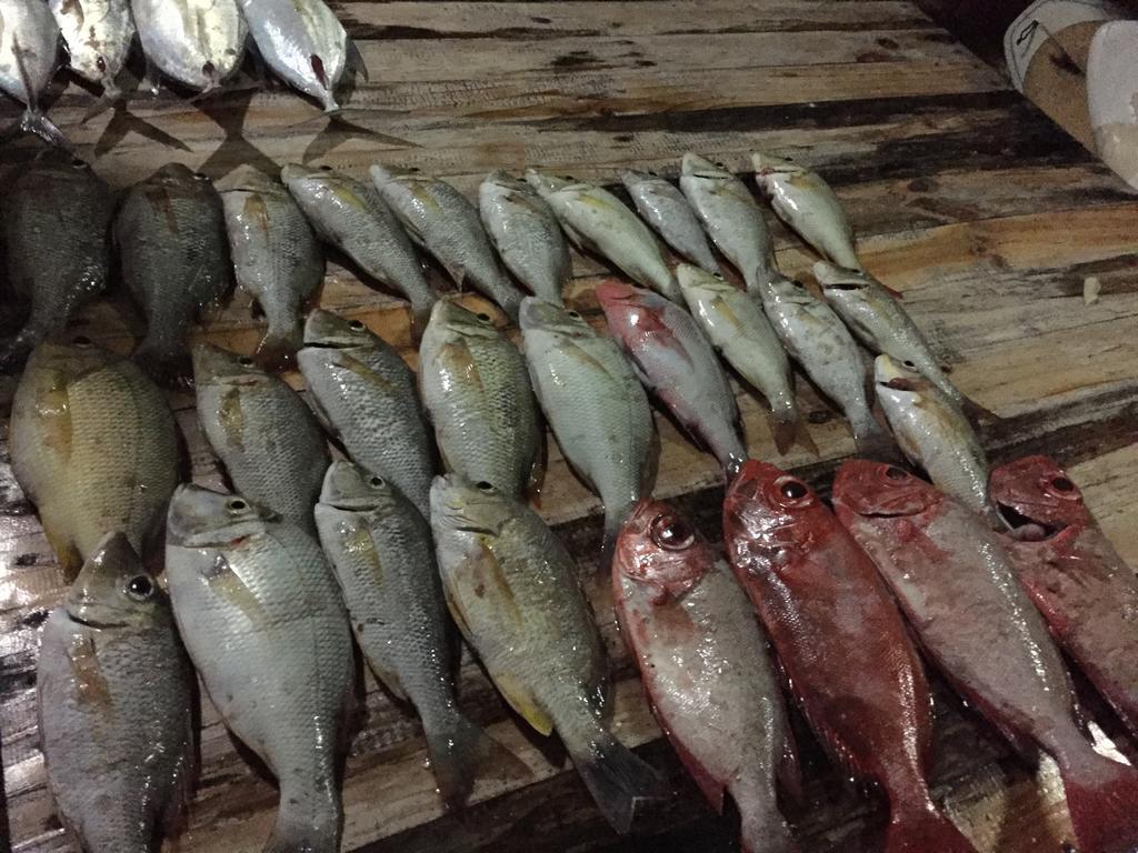 Huraa East Inn Kültér fotó
